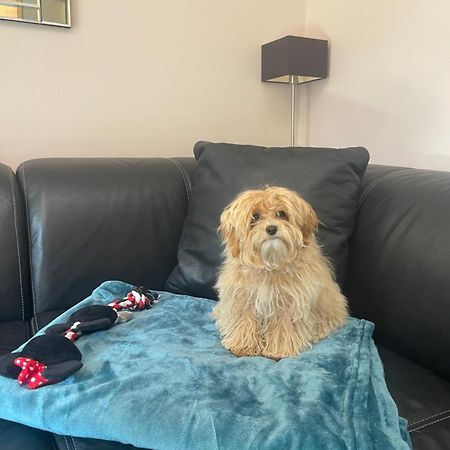 Belle Apartaments Miedzyzdroje Dış mekan fotoğraf